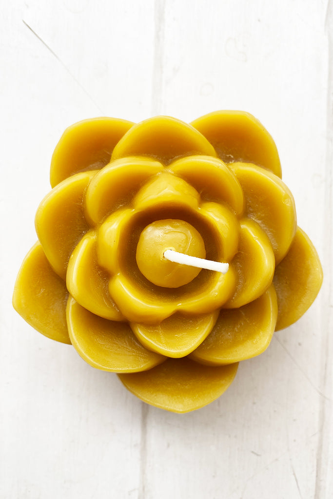 Beeswax Lotus Flower