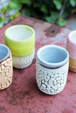 Raina Lee Mini Cups